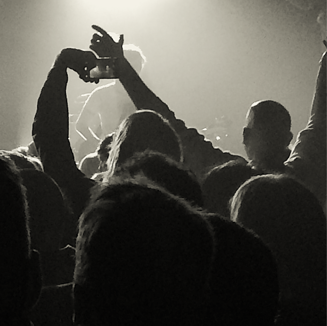 Crowd at a live show