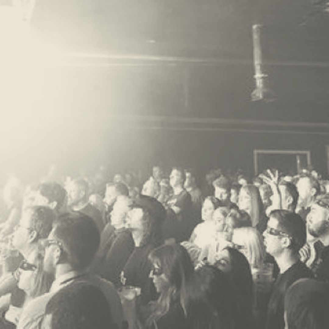 Crowd at a live show