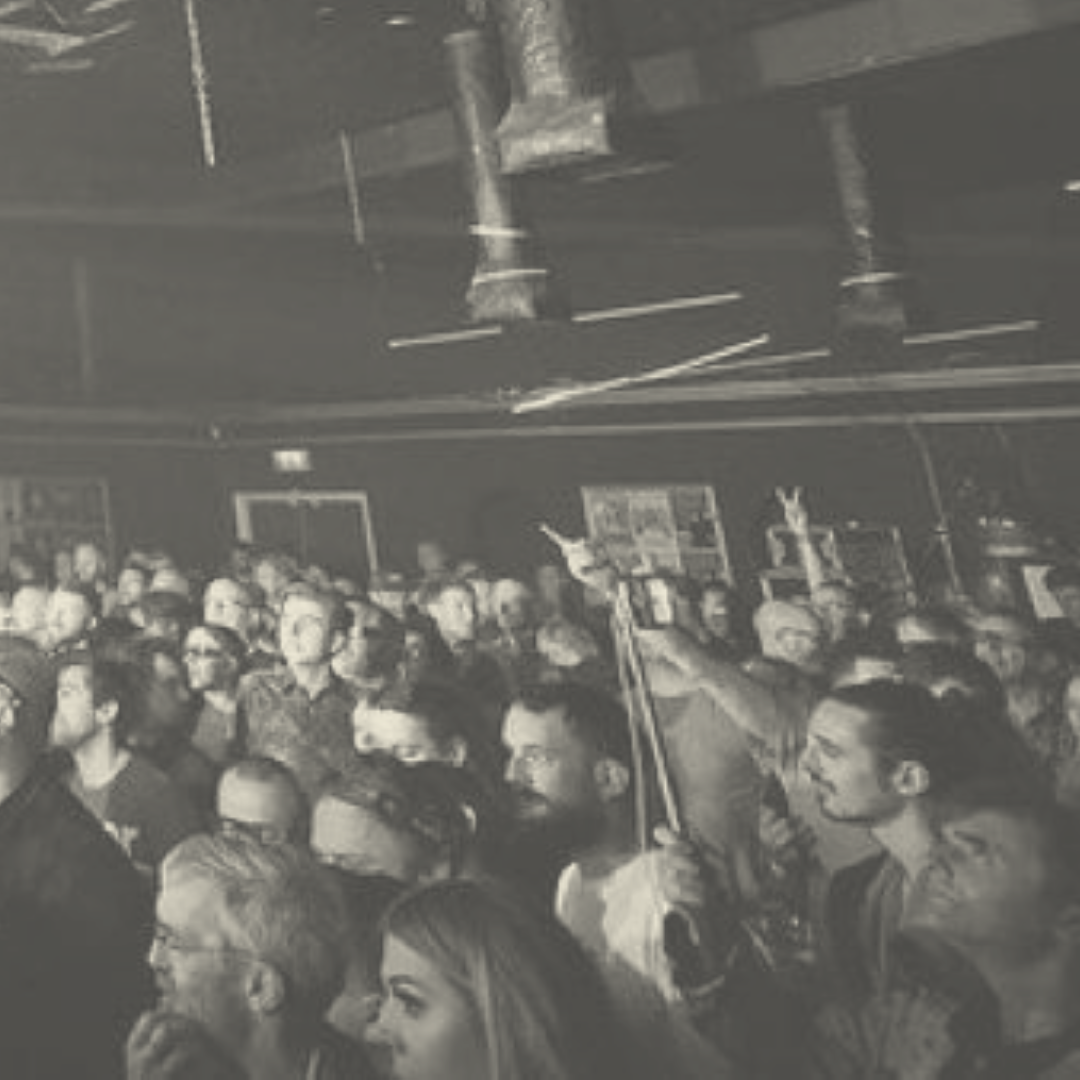Audience at a live show
